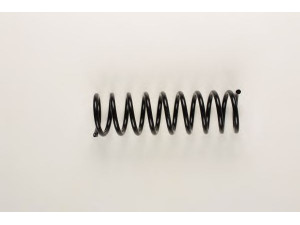 BILSTEIN 36-159819 spyruoklė 
 Pakaba -> Spyruoklės
33 53 1 118 815, 33 53 1 118 816