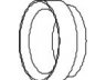išleidimo kolektorius