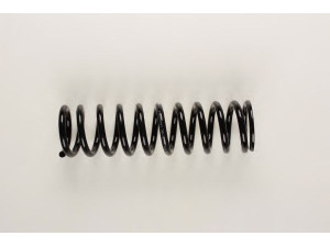 BILSTEIN 36-129768 spyruoklė 
 Pakaba -> Spyruoklės
201 321 20 04