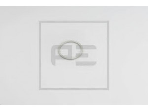 PE Automotive 076.220-00A tarpiklis
007603 022100