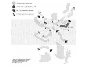 BORG & BECK BTH1108 kompresoriaus padavimo žarna 
 Išmetimo sistema -> Turbokompresorius
4B0145832B, 4B0145832B, 4B0145832B