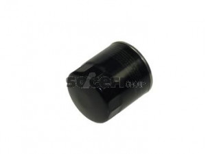 COOPERSFIAAM FILTERS FT6043 alyvos filtras 
 Techninės priežiūros dalys -> Techninės priežiūros intervalai
9A110720390, 03L115561