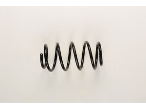 BILSTEIN 36-133932 spyruoklė 
 Pakaba -> Spyruoklės
90 373 270