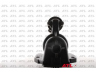 ATL Autotechnik A 22 560 starteris 
 Elektros įranga -> Starterio sistema -> Starteris
1057661, 1076141, 1085273, 1151642