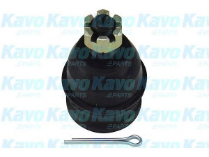KAVO PARTS SBJ-3007 atramos/vairo trauklė 
 Ašies montavimas/vairavimo mechanizmas/ratai -> Sujungimai -> Atramos/vairo trauklė
5453002000, 5453002050