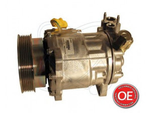 ELECTRO AUTO 20A1302 kompresorius, oro kondicionierius 
 Oro kondicionavimas -> Kompresorius/dalys
6453PR, 6453SH, 9656572180, BTR1302