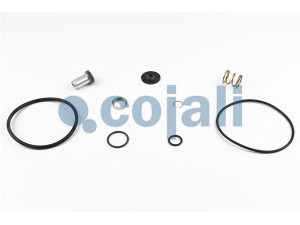 COJALI 6014606 remonto komplektas