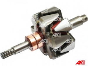 AS-PL AR6016 rotorius, kintamosios srovės generatorius