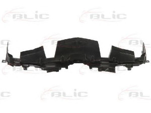 BLIC 6502-08-3421201P priekinis variklio gaubtas
D65156381C