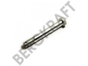 BERGKRAFT BK8200315 lingės varžtas
1 548 054, 1548054, 255 315, 255315