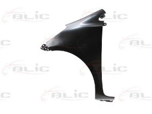 BLIC 6504-04-8100311P sparnas 
 Kėbulas -> Transporto priemonės priekis -> Sparnas/montavimo dalys
53802-74010