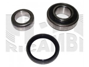 CALIBER RC1821 rato guolio komplektas 
 Ašies montavimas/vairavimo mechanizmas/ratai -> Rato stebulė/montavimas -> Rato guolis
442130011