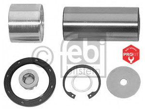 FEBI BILSTEIN 06891 remonto komplektas, pasukamojo kakliuko kaištis 
 Ašies montavimas/vairavimo mechanizmas/ratai -> Pasukamojo kakliuko remonto rinkinys -> Remonto komplektas, karbiuratorius
625 330 01 19