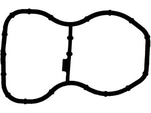 REINZ 71-41231-00 tarpiklis, įsiurbimo kolektorius 
 Variklis -> Cilindrų galvutė/dalys -> Įsiurbimo kolektoriaus tarpiklis/sandarinimo žiedas
11 61 7 807 480, 7 807 480