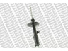 MONROE G16662 amortizatorius 
 Pakaba -> Amortizatorius
4853006060, 4854006060
