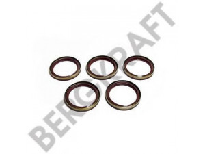 BERGKRAFT BK6120173 veleno sandariklis, neautomatinė transmisija
40100810, 40100813, 40102170, 40102173