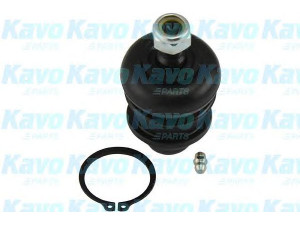 KAVO PARTS SBJ-3011 atramos/vairo trauklė 
 Ašies montavimas/vairavimo mechanizmas/ratai -> Sujungimai -> Atramos/vairo trauklė
MB001696, MB001699, MB001715, MB002588