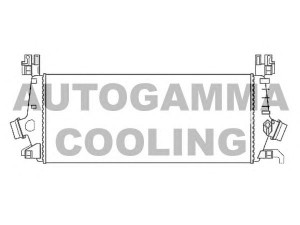 AUTOGAMMA 107484 tarpinis suslėgto oro aušintuvas, kompresorius
1302259, 13393988
