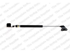 ROC GS1058 dujinė spyruoklė, gaubtas 
 Kėbulas -> Dujinės spyruoklės
81150-H1000