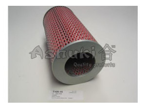 ASHUKI T105-15 oro filtras 
 Filtrai -> Oro filtras
08436065/MAHLE, 1 457 433 795/BOSCH
