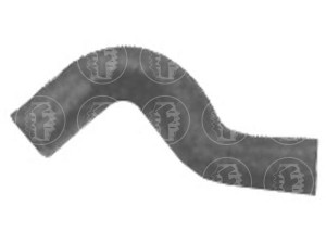 FARE SA 8170 radiatoriaus žarna
7700749885