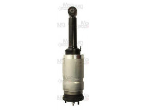 Magnum Technology APL001MT amortizatorius 
 Pakaba -> Amortizatorius
LR032646, RNB501180, RNB501250