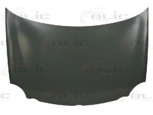 BLIC 6803-00-9506280P gaubtas 
 Kėbulas -> Transporto priemonės galas -> Gaubtas/dalys/garso izoliacinė medžiaga
6Q0823031D, 6Q0 823 031B, 6Q0 823 031D