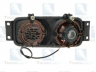 TRUCKLIGHT FL-SC007R rūko žibintas
1358832