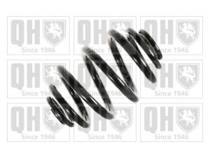 QUINTON HAZELL QCS7781 spyruoklė 
 Pakaba -> Spyruoklės
33 53 9 065 365