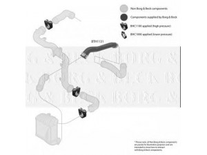 BORG & BECK BTH1131 kompresoriaus padavimo žarna 
 Išmetimo sistema -> Turbokompresorius
1J0145828F, 1J0145828M, 1J0145828R