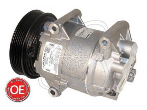 ELECTRO AUTO 20B0039 kompresorius, oro kondicionierius 
 Oro kondicionavimas -> Kompresorius/dalys
2763000Q1E, 2763000Q2M, 8200050141