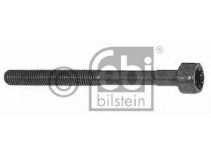 FEBI BILSTEIN 05609 cilindro galvutės varžtas 
 Variklis -> Cilindrų galvutė/dalys -> Cylindrų galvutės varžtas
6 732 295, 91FF6065AB