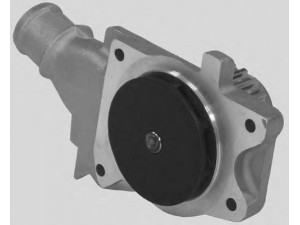 OPEN PARTS WAP8063.00 vandens siurblys 
 Aušinimo sistema -> Vandens siurblys/tarpiklis -> Vandens siurblys
1053055, 1126041, 1233205, 1518091