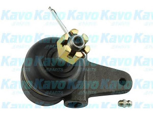 KAVO PARTS SBJ-4520 atramos/vairo trauklė
066234510A, 066299356
