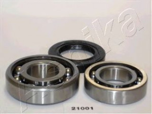 ASHIKA 44-21001 rato guolio komplektas 
 Ašies montavimas/vairavimo mechanizmas/ratai -> Rato stebulė/montavimas -> Rato guolis
43232-F6100