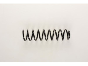 BILSTEIN 36-134106 spyruoklė 
 Pakaba -> Spyruoklės
6K0 511 115 P, 6K0 511 115 P