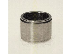 TRISCAN 8170 233804 stūmoklis, stabdžių apkaba