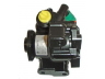 LIZARTE 04.13.0096 hidraulinis siurblys, vairo sistema 
 Vairavimas -> Vairo pavara/siurblys
0024669101