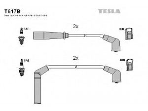 TESLA T617B uždegimo laido komplektas 
 Kibirkšties / kaitinamasis uždegimas -> Uždegimo laidai/jungtys
90919-22273