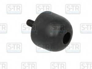 S-TR STR-120512 pakabos statramsčio tvirtinimas 
 Kėbulas -> Kėbulo dalys/ sparnas/buferis -> Purvasaugiai
1349810