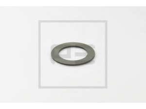 PE Automotive 031.352-00A tarpiklis
81.90712.0616