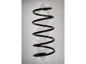 SPIDAN 55089 spyruoklė 
 Pakaba -> Spyruoklės
31 33 1 092 656