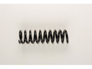 BILSTEIN 36-134519 spyruoklė 
 Pakaba -> Spyruoklės
124 321 3004, 202 321 03 04