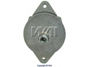 WAIglobal 8027N kintamosios srovės generatorius
1677974C91, 1677974C92, 1680859C91