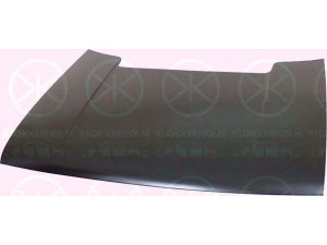 KLOKKERHOLM 2021280 gaubtas 
 Kėbulas -> Transporto priemonės priekis -> Gaubtas/dalys/garso izoliacinė medžiaga
0000007635192, 7635192