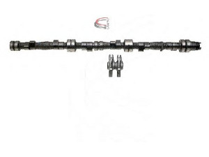 CAMPRO CP60631 skirstomojo veleno komplektas 
 Variklis -> Variklio uždegimo laiko reguliavimo kontrolė -> Skirstomasis velenas
1131 1271 383