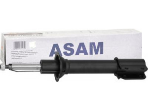 ASAM 30123 amortizatorius
6001540714, 6001544427, 6001546204