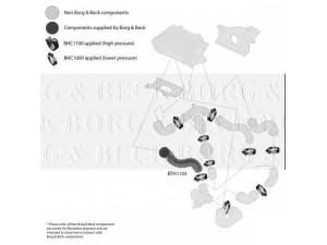 BORG & BECK BTH1103 kompresoriaus padavimo žarna 
 Išmetimo sistema -> Turbokompresorius
701145828, 701145828, 701145828