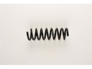 BILSTEIN 36-163816 spyruoklė 
 Pakaba -> Spyruoklės
202 324 29 04