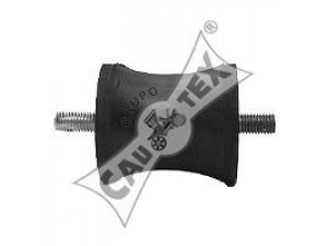 CAUTEX 188752 variklio montavimas
10040004901
